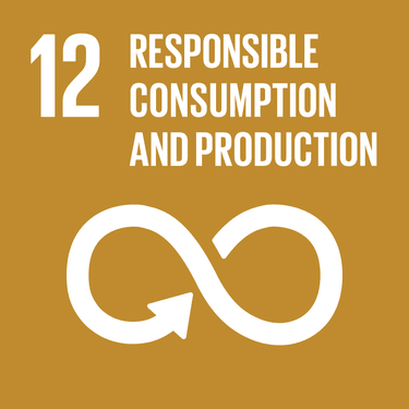 Image: Responsible Consumption And Production - Target 12.8