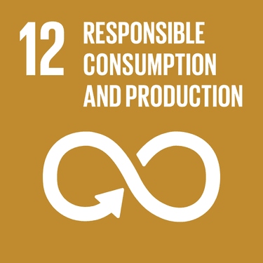 Image: Responsible Consumption And Production - Target 12.5