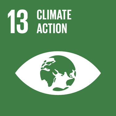 Image: Climate Action - Target 13.3