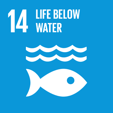 Image: Life Below Water - Target 14.2