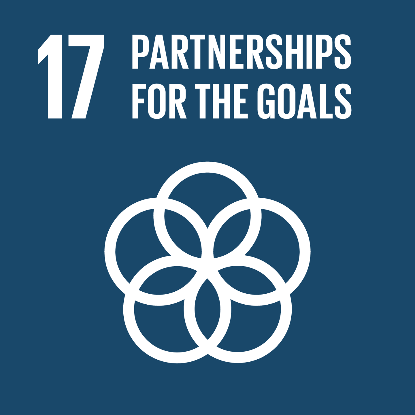 SDG goal image