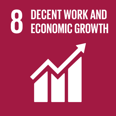 Image: Decent Work And Economic Growth - Target 8.3